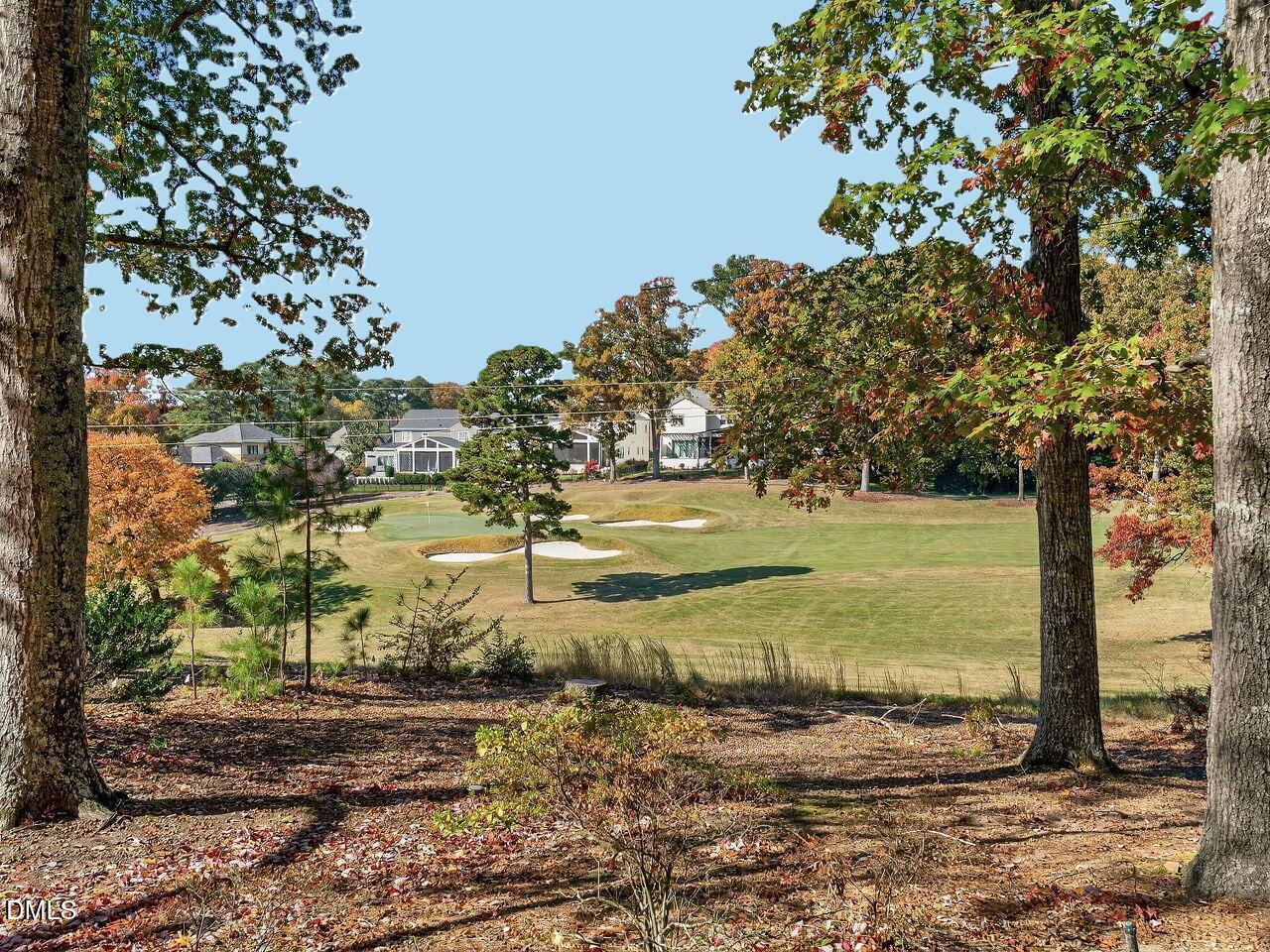 a view of a yard with an trees