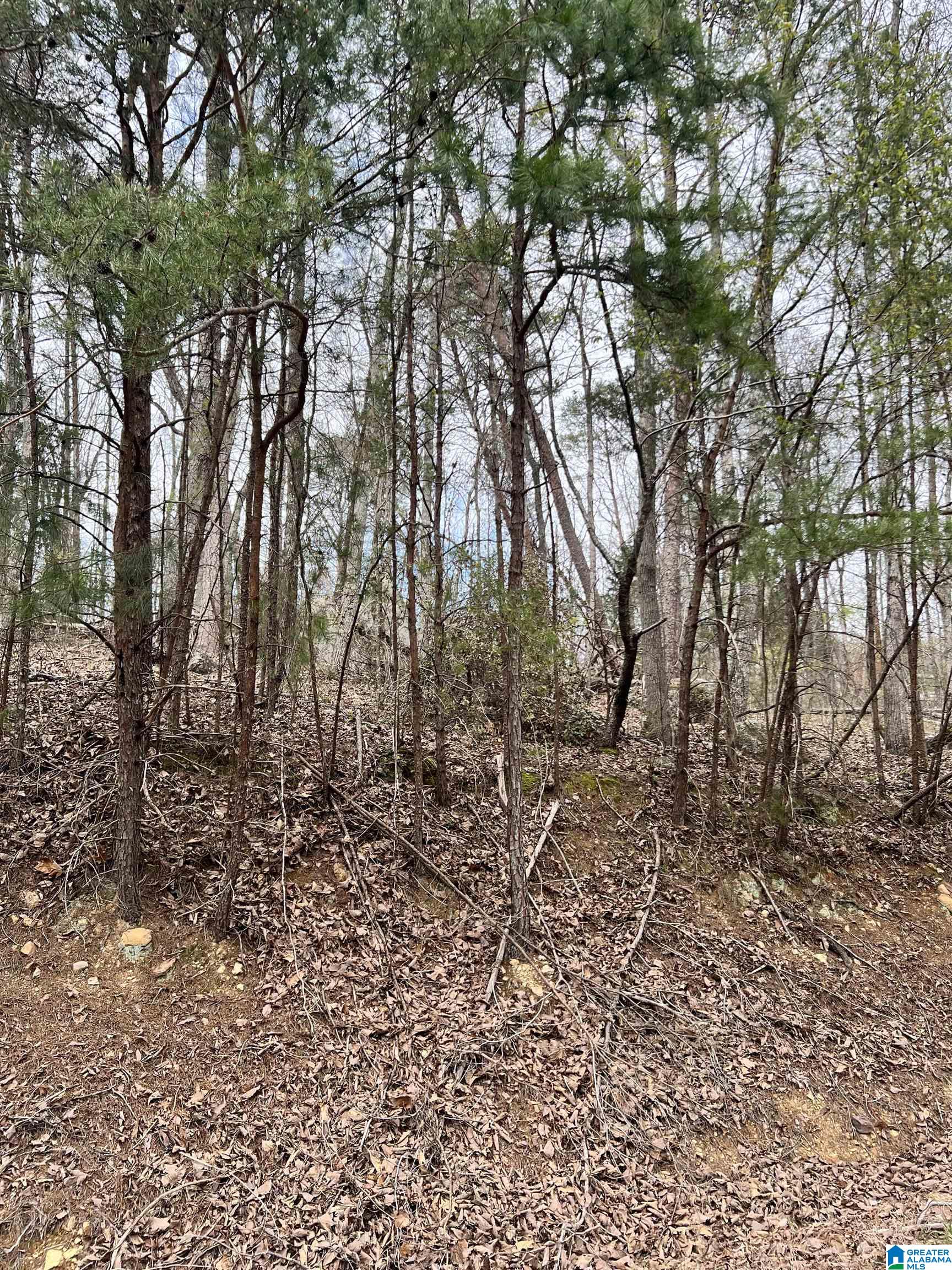 5600 Miles Spring Road, Unit 5600 Pinson, AL 35126 - Photo 3 of 5