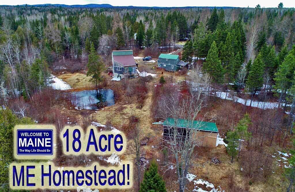 122 Wilcox Road Orient, ME 04471 - Photo 1 of 90 maine-farm-homestead-proper