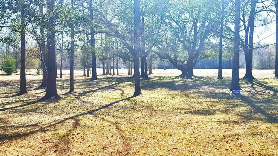 16380 Pine Grove Road Bay Minette, AL 36507 - Photo 16 of 17