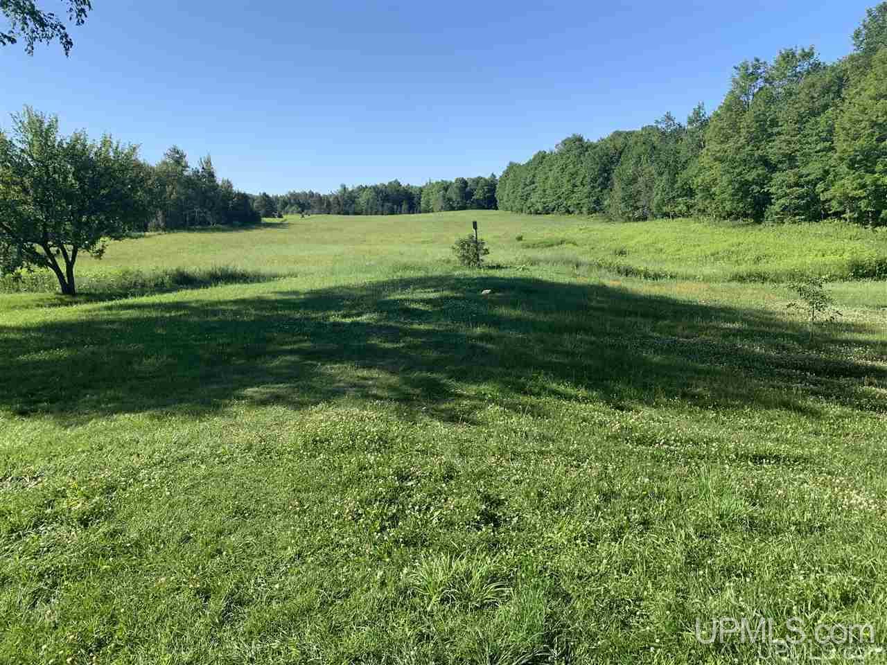E3311 Co Road Trenary, MI 49891 - Photo 16 of 45