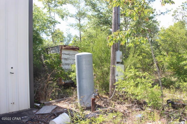 4875 Hasty Pond Road Marianna, FL 32448 - Photo 8 of 25 Gallery Image 8