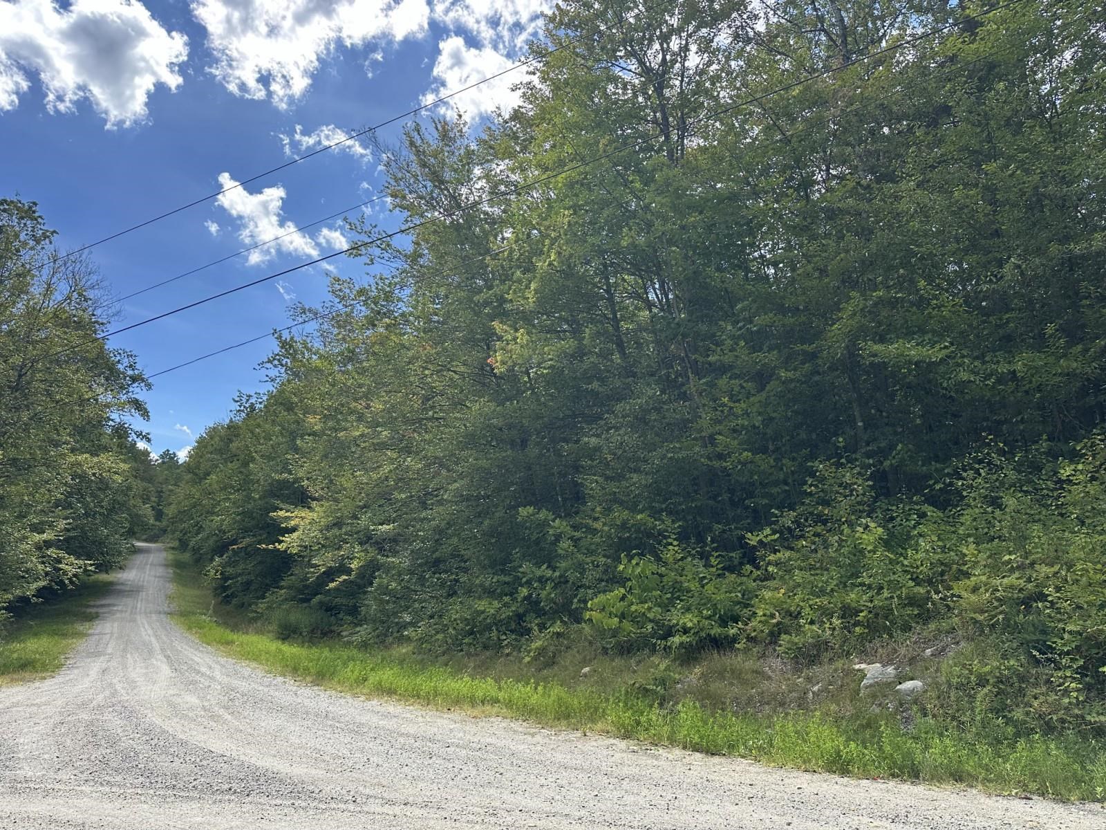 145 Highland View Road Weston, VT 05161 - Photo 5 of 5 Gallery Image 5