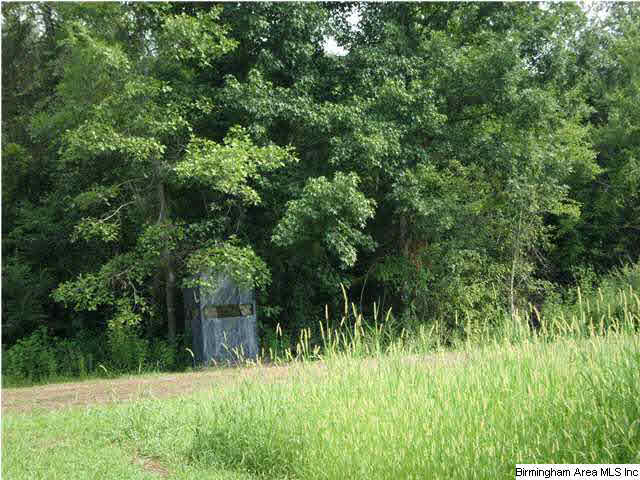 Empire Road, Unit 25 Empire, AL 35063 - Photo 5 of 16 Gallery Image 5