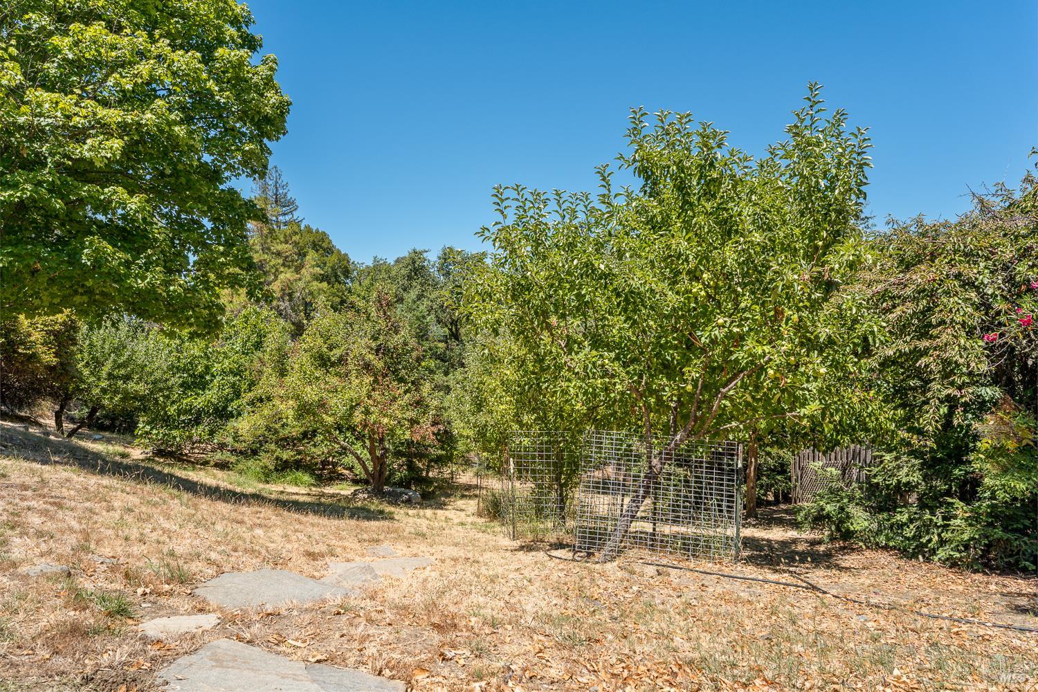 800 Riverside Drive Ukiah, CA 95482 - Photo 37 of 44 Gallery Image 37