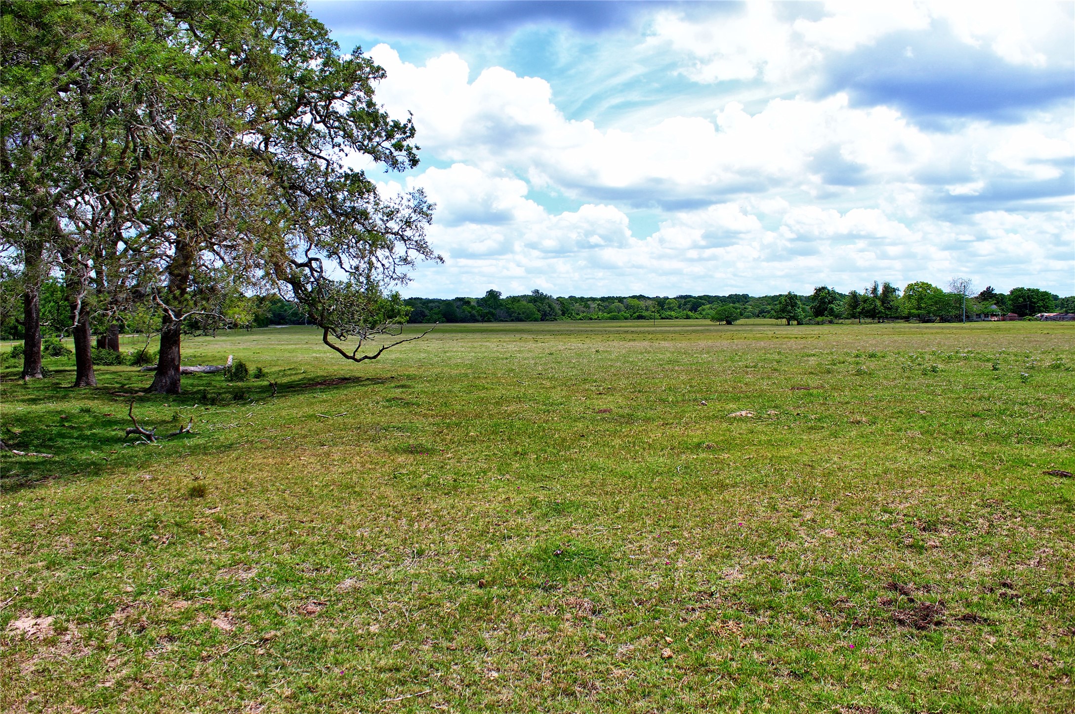 Tbd Harmony Road Weimar, TX 78962 - Photo 27 of 28