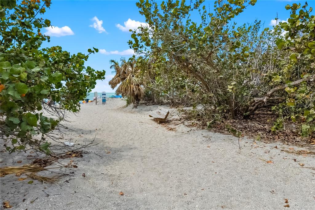 14265 Imlay Avenue Port Charlotte, FL 33981 - Photo 8 of 22 a view of a dirt road with trees
