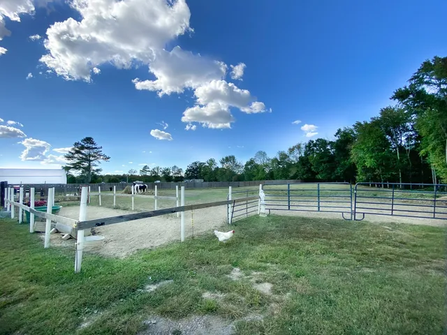 a view of a backyard with a slide