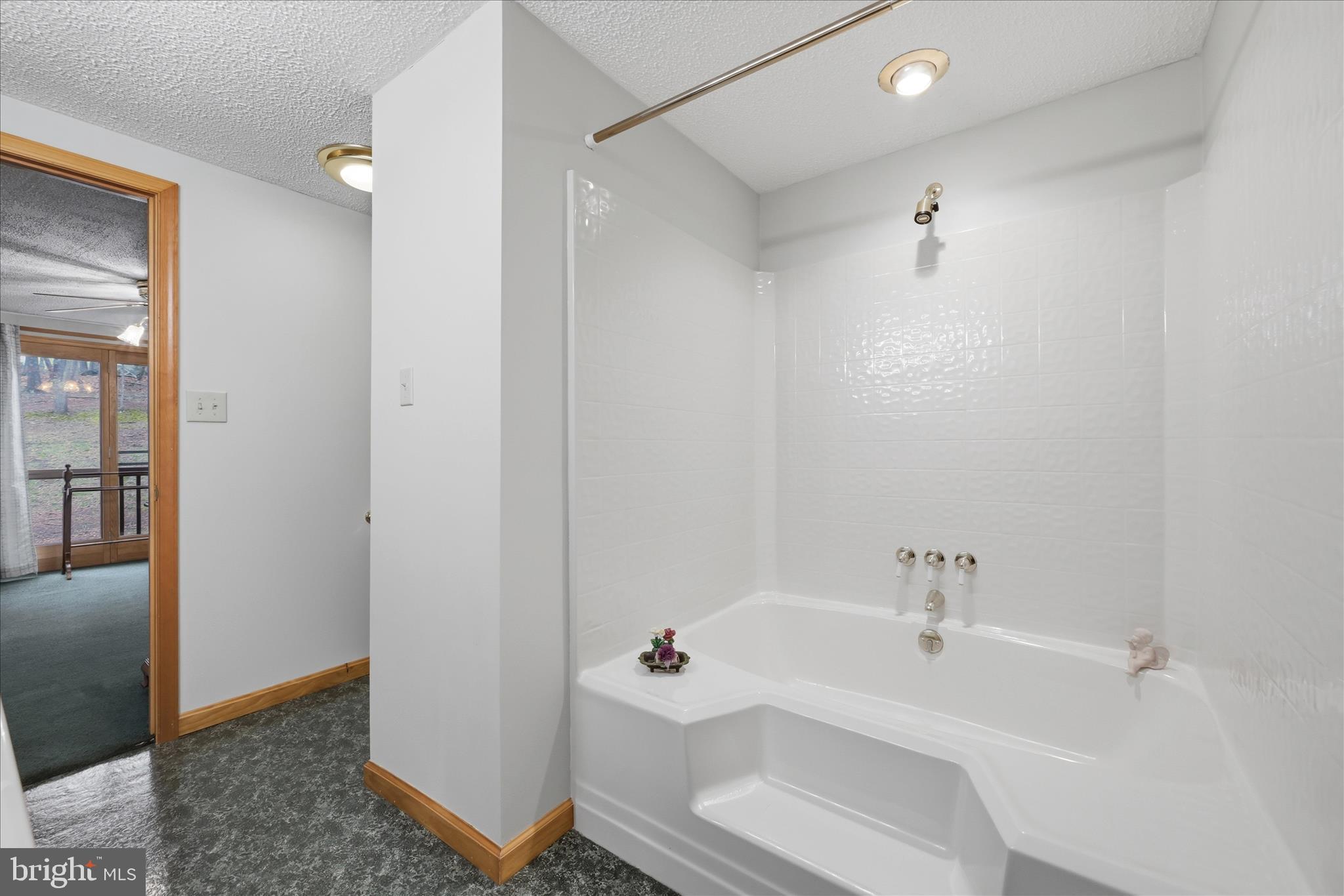 154 Spook Hollow Road Berkeley Springs, WV 25411 - Photo 31 of 60 Primary Bathroom