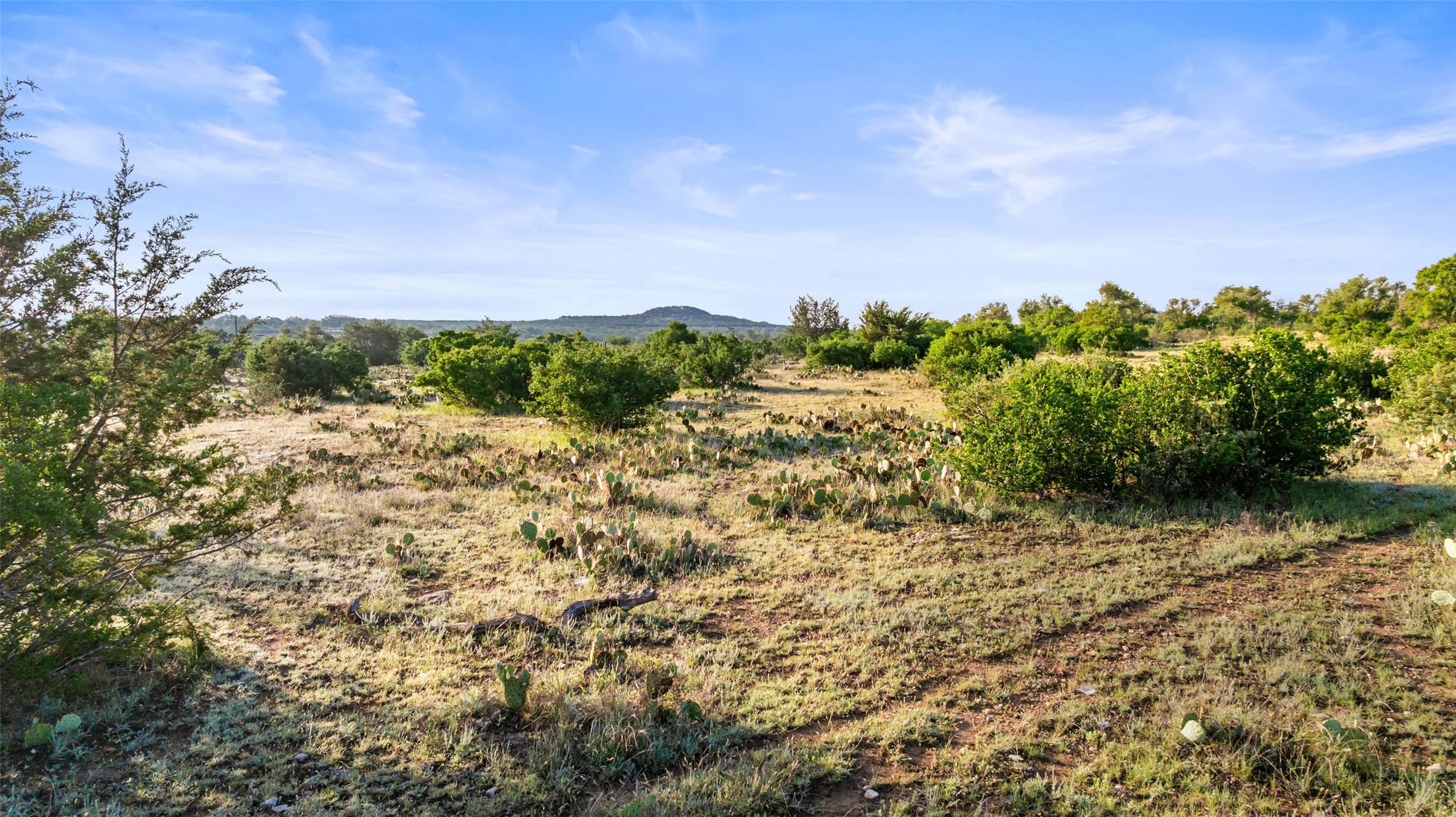 Lot 3 Vista Rdg Drive Round Mountain, TX 78663 - Photo 7 of 15 View of nature