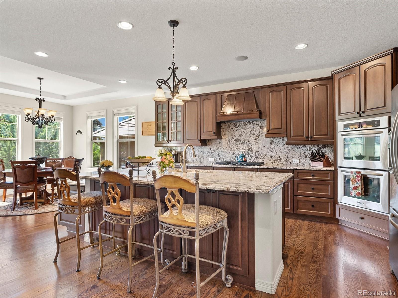 312 Basilwood Way Highlands Ranch, CO 80126 - Photo 10 of 39