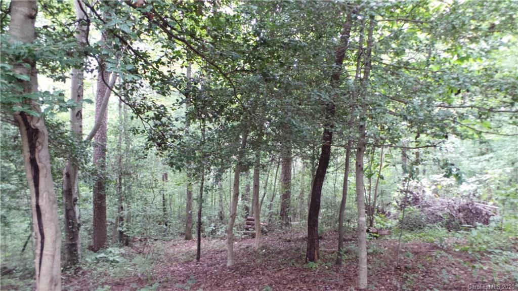 1796 Crafton Road Hickory, NC 28602 - Photo 22 of 45 Gallery Image 22