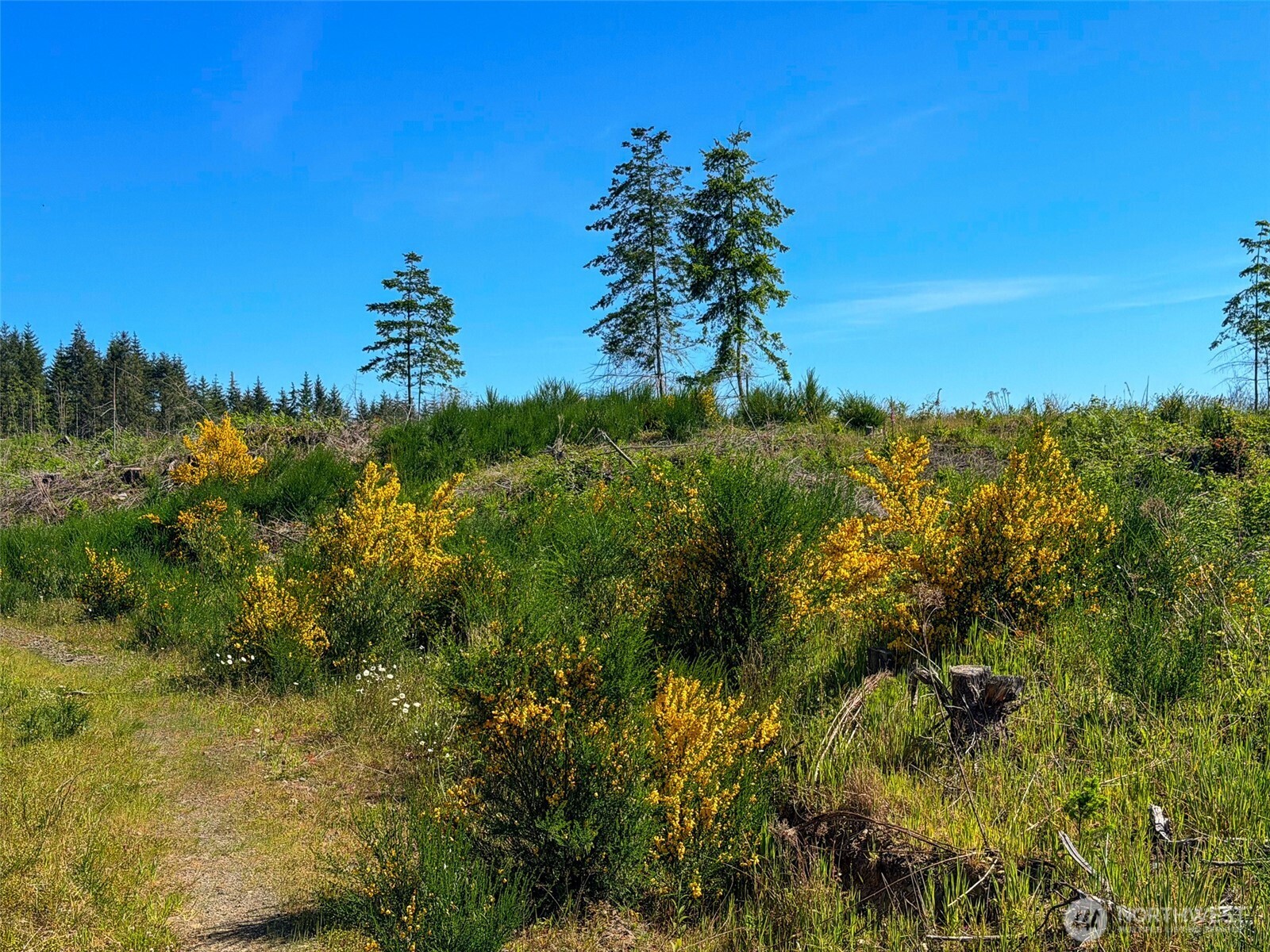 1-xxx Andy Cooper Road Port Ludlow, WA 98365 - Photo 23 of 29