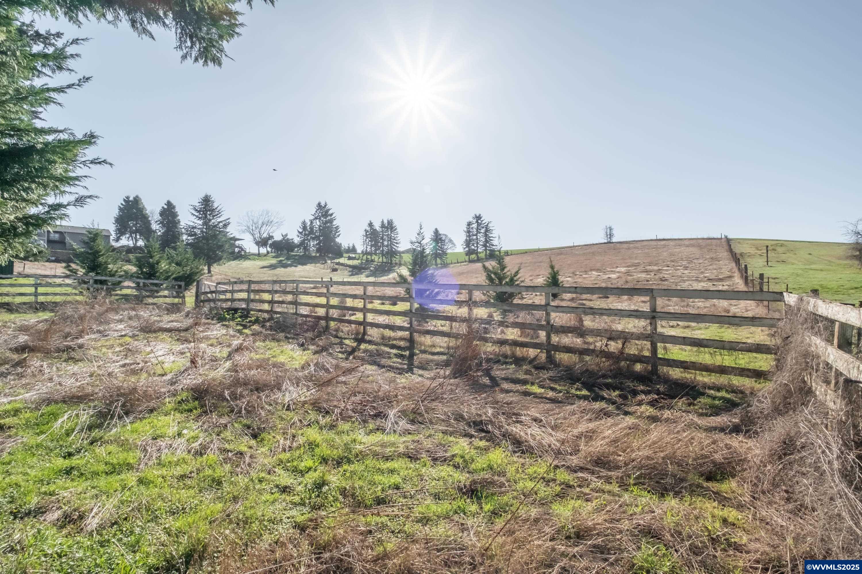 434 Rees Hill Road Southeast Salem, OR 97306 - Photo 33 of 35 a view of a forest