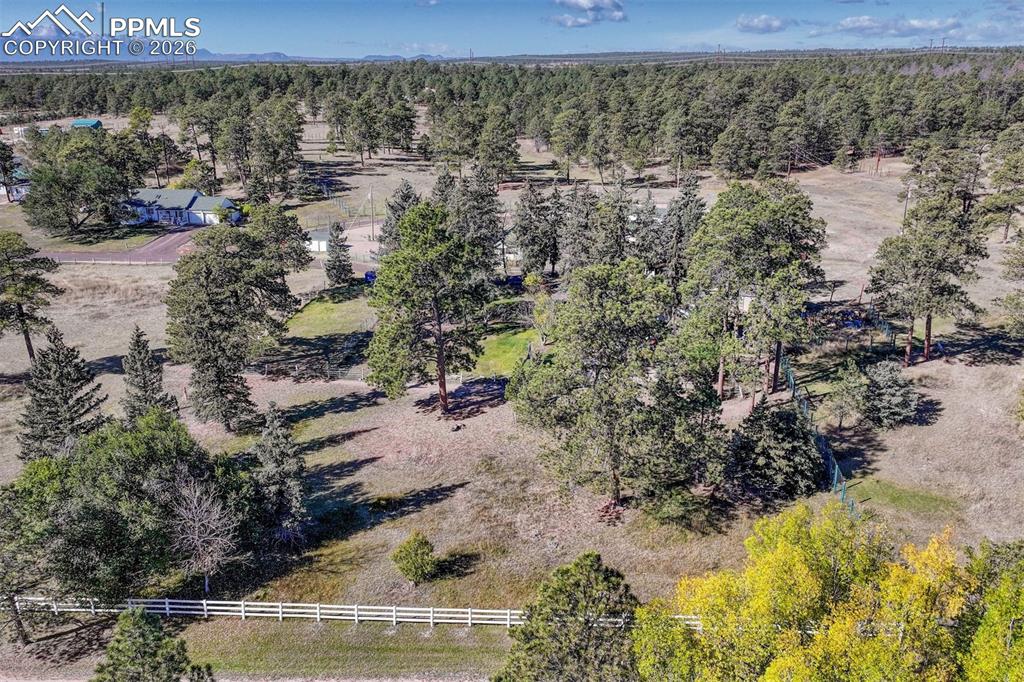 13354 Meridian Road Elbert, CO 80106 - Photo 41 of 46