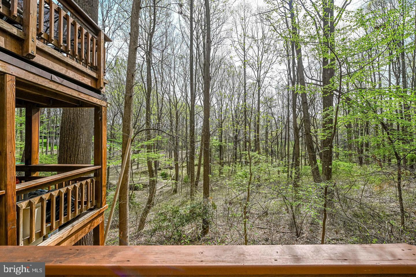 1328 Potomac School Road McLean, VA 22101 - Photo 30 of 31