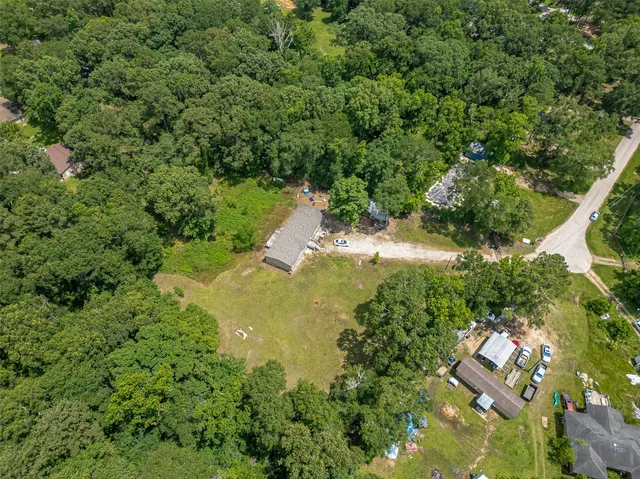 a view of a yard with plants and large trees