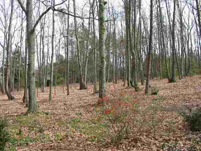 200 Huntington Road Greenville, SC 29615 - Photo 24 of 25