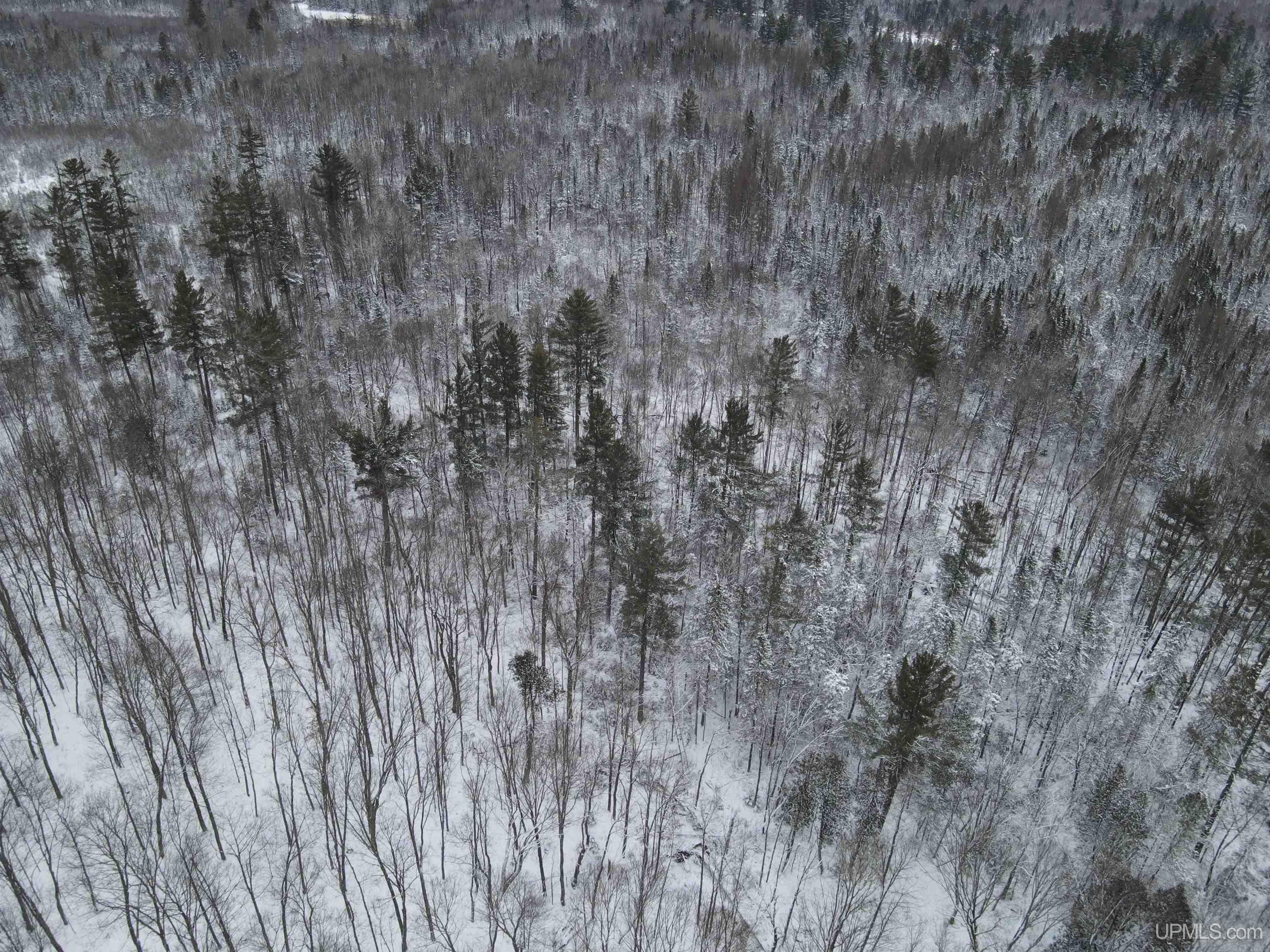 80-acr 80-acr Ford Road Watton, MI 49970 - Photo 4 of 17