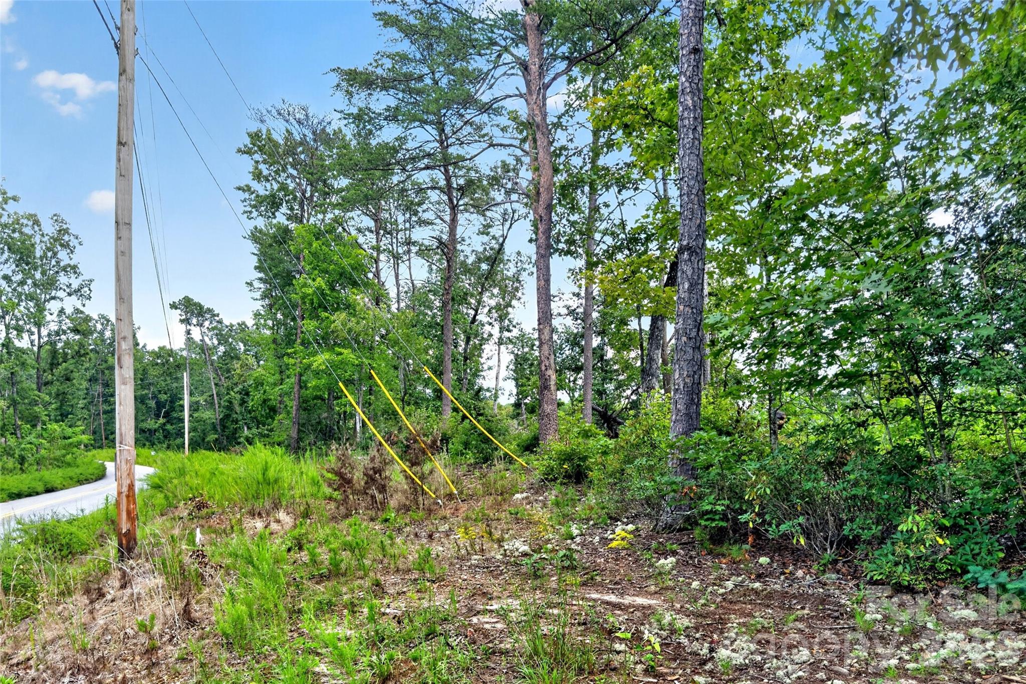 Tbd Antioch Road Lake Lure, NC 28746 - Photo 23 of 30 Gallery Image 23