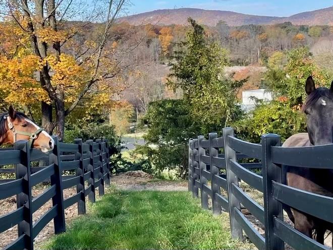 2680 Highway 9 Cold Spring, NY 10516 - Photo 8 of 29