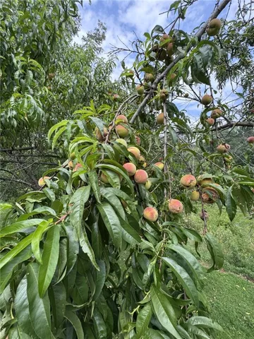 $375,000 | 396 Trails End Road, Shinglehouse, PA 16748