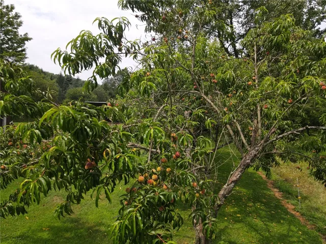 $375,000 | 396 Trails End Road, Shinglehouse, PA 16748