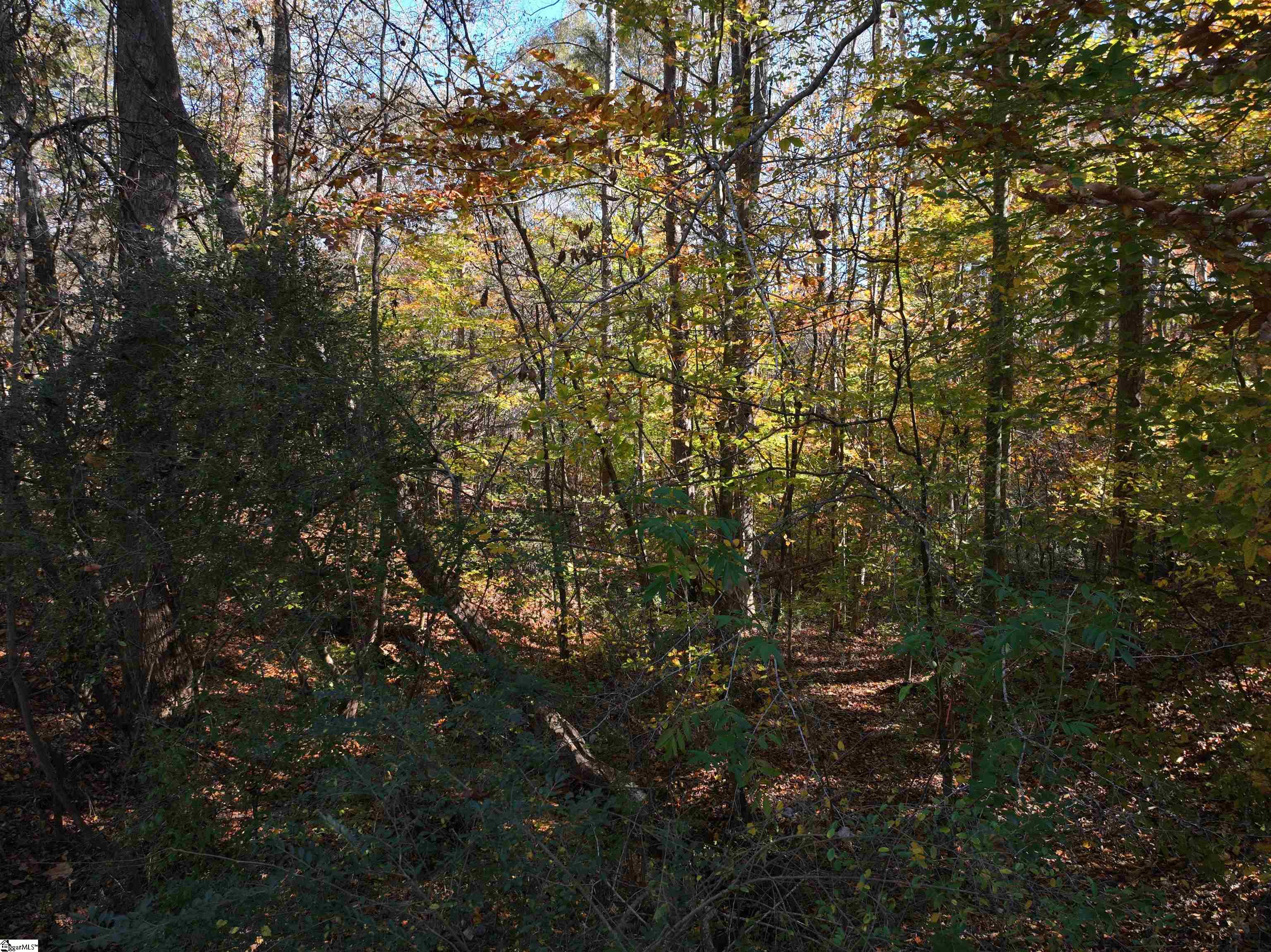 1 Blair Road Laurens, SC 29360 - Photo 11 of 16