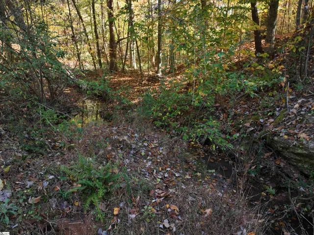 $35,000 | 1 Blair Road, Laurens, SC 29360