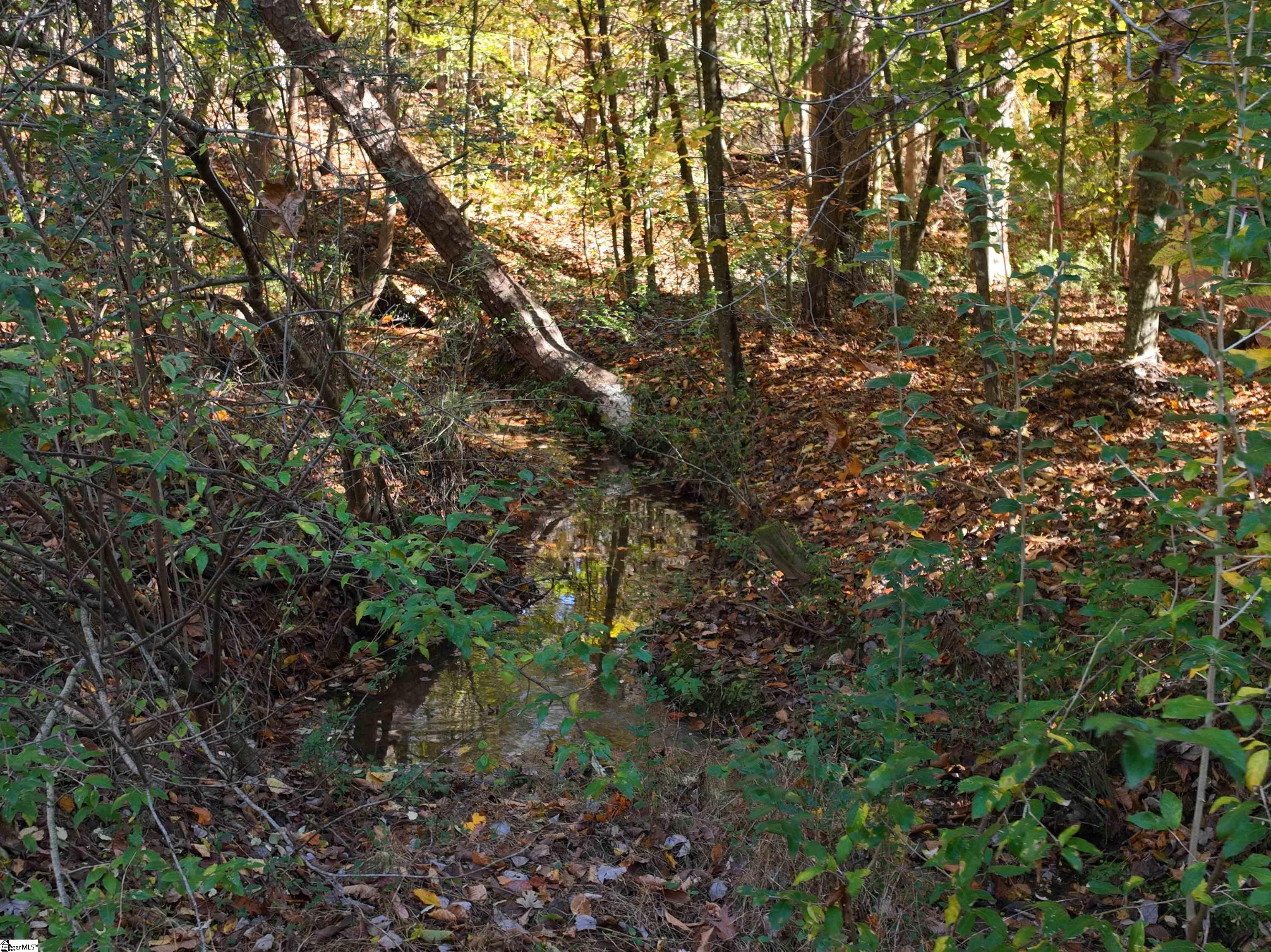 1 Blair Road Laurens, SC 29360 - Photo 14 of 16