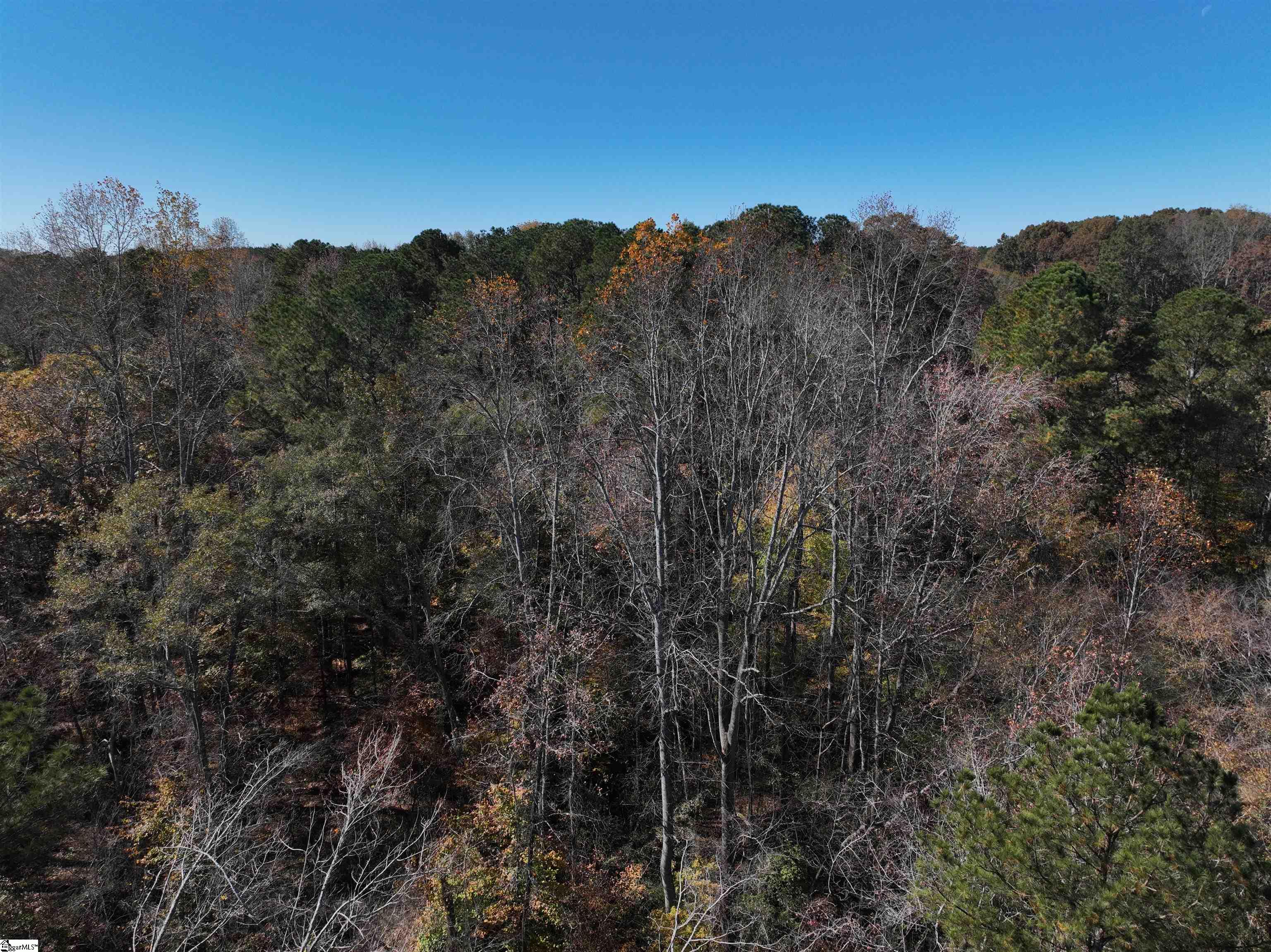 1 Blair Road Laurens, SC 29360 - Photo 7 of 16