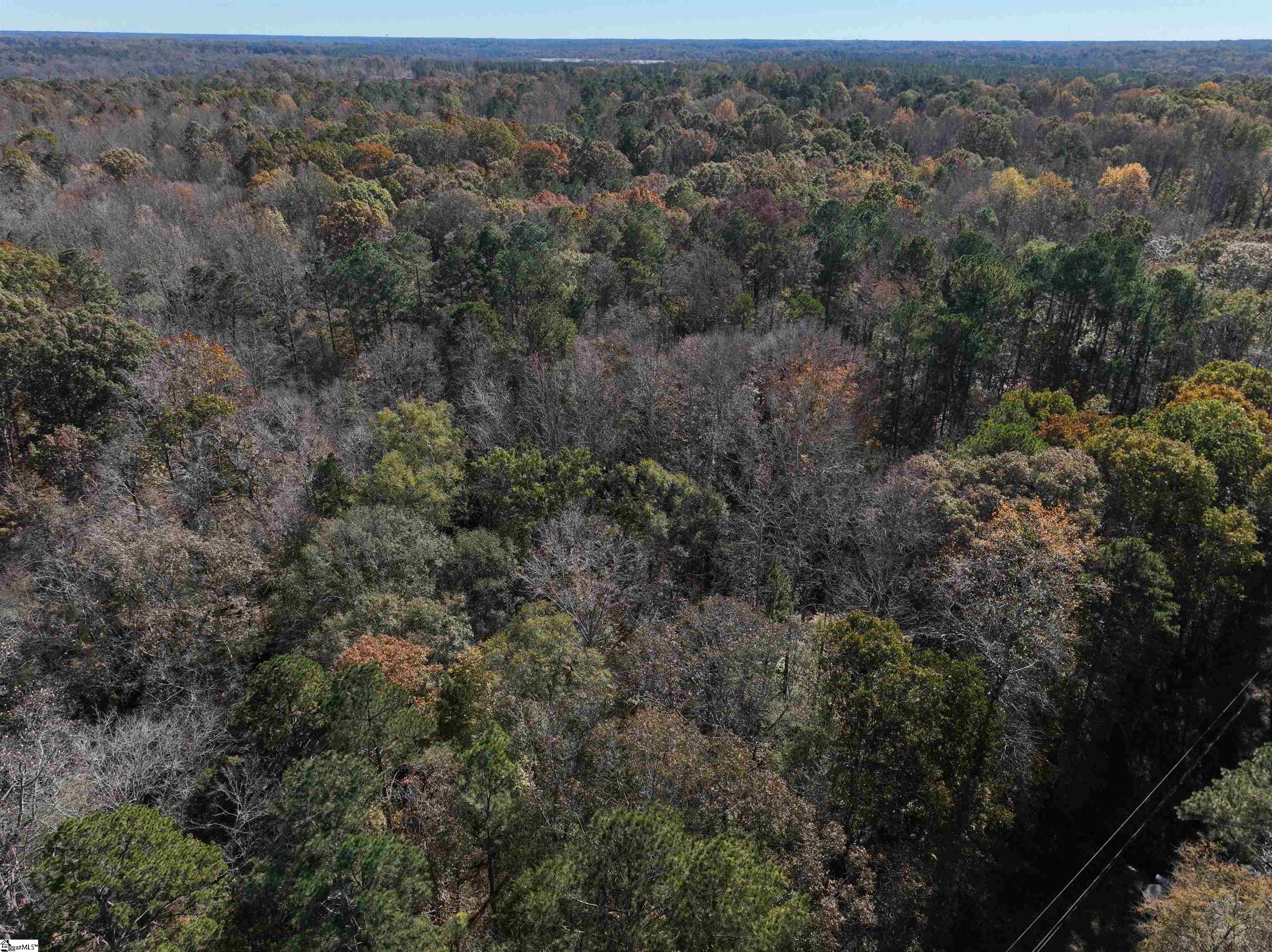 1 Blair Road Laurens, SC 29360 - Photo 8 of 16