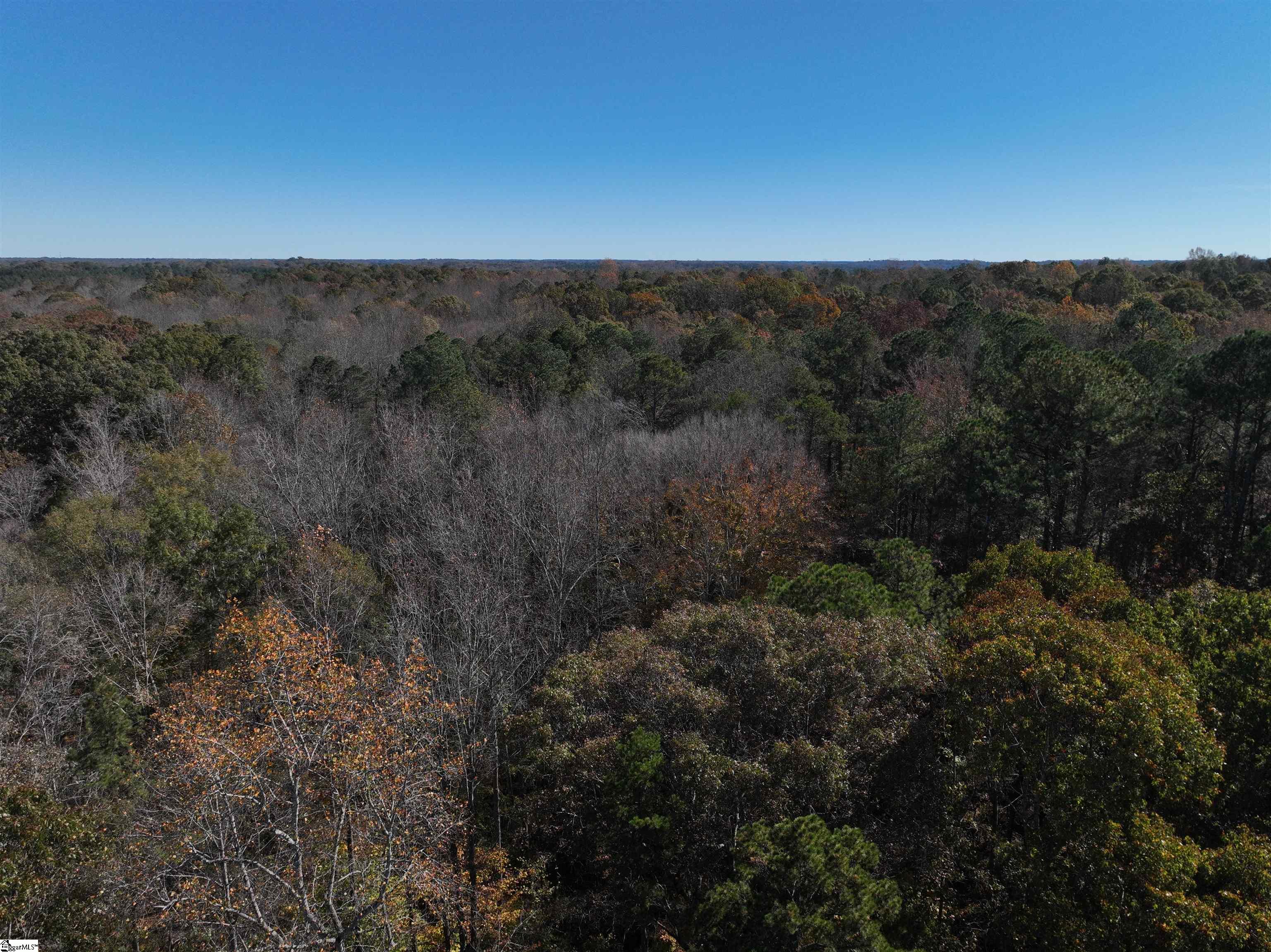 1 Blair Road Laurens, SC 29360 - Photo 9 of 16