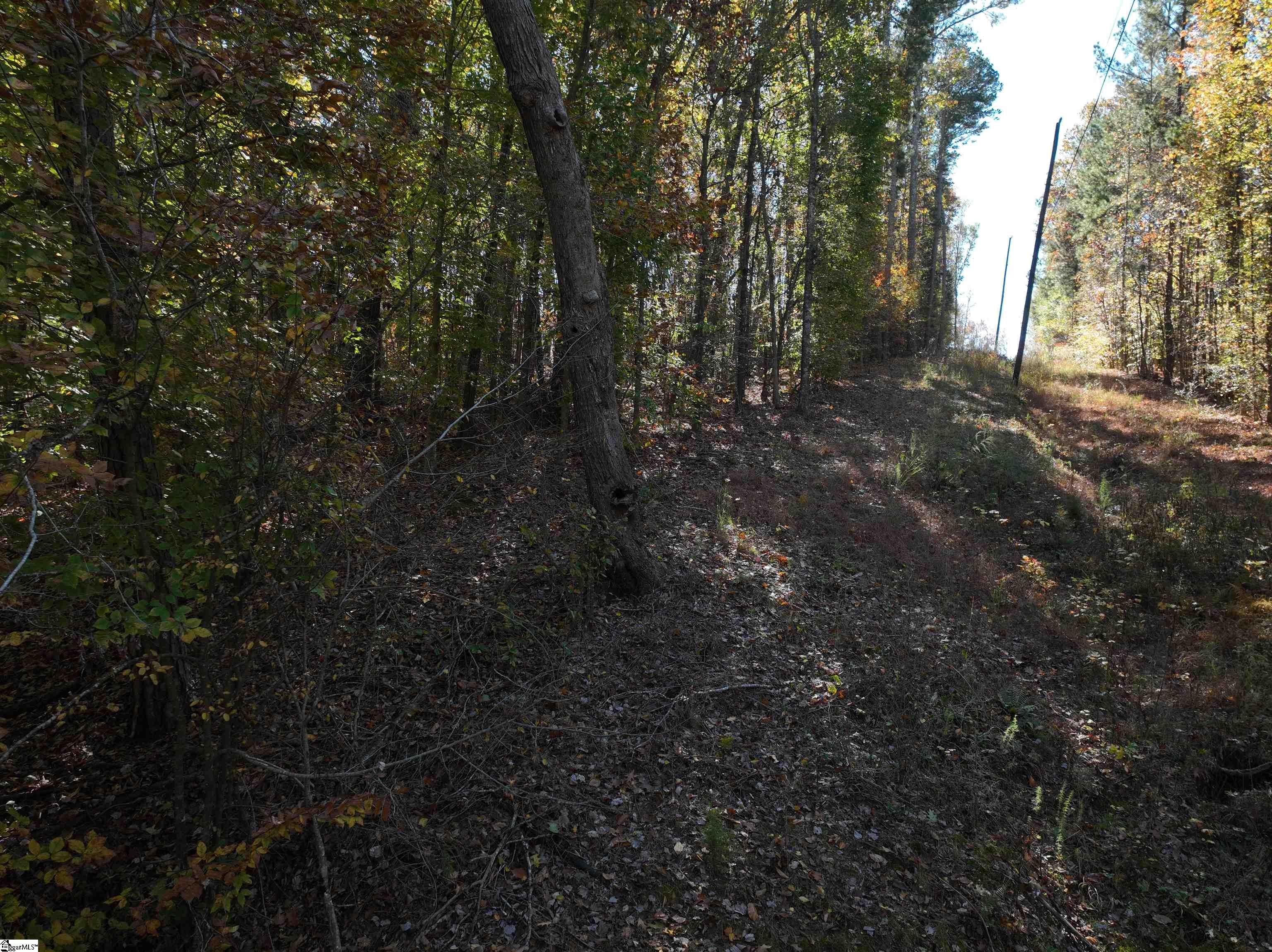 1 Blair Road Laurens, SC 29360 - Photo 10 of 16
