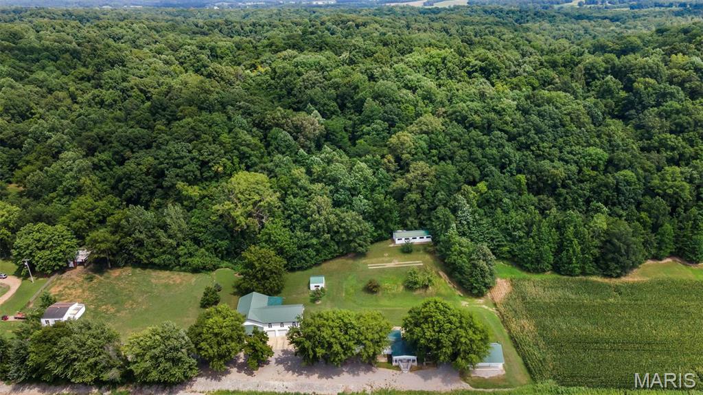 10912 Highway 77 Chaffee, MO 63740 - Photo 19 of 53