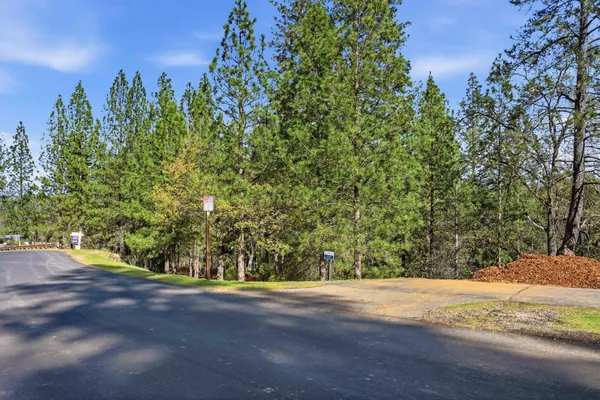 a view of a yard with a tree