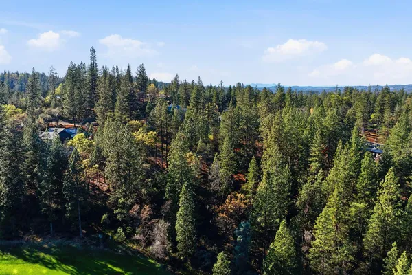 a view of a yard with an trees