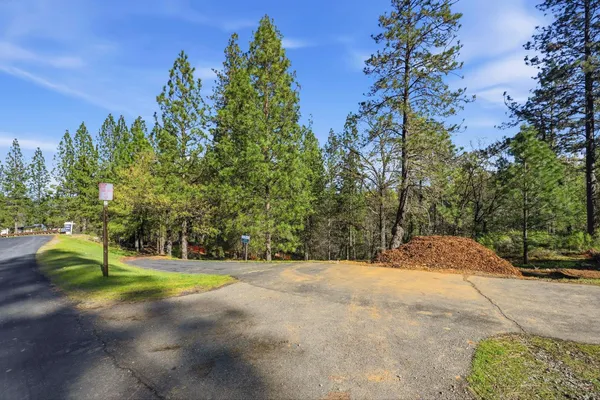 a view of a park with large trees