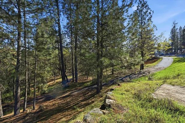 a view of a golf course with a lake