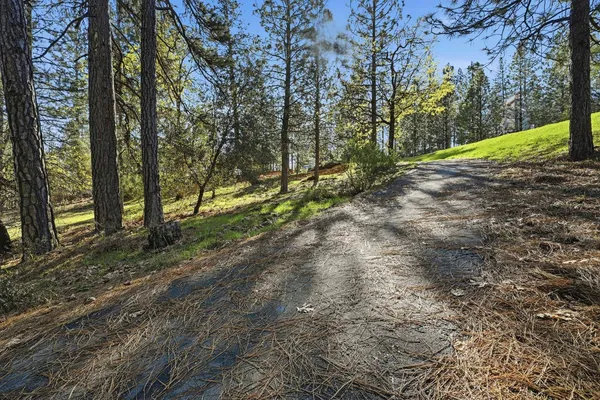 $399,000 | 1642 The Point, Meadow Vista, CA 95722