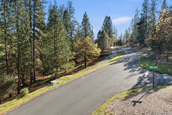 view of city and green space