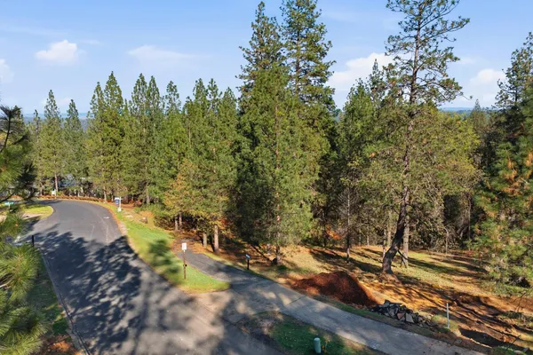 a view of a city with lush green forest