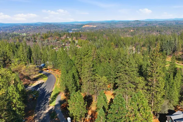 a view of a city with lush green forest