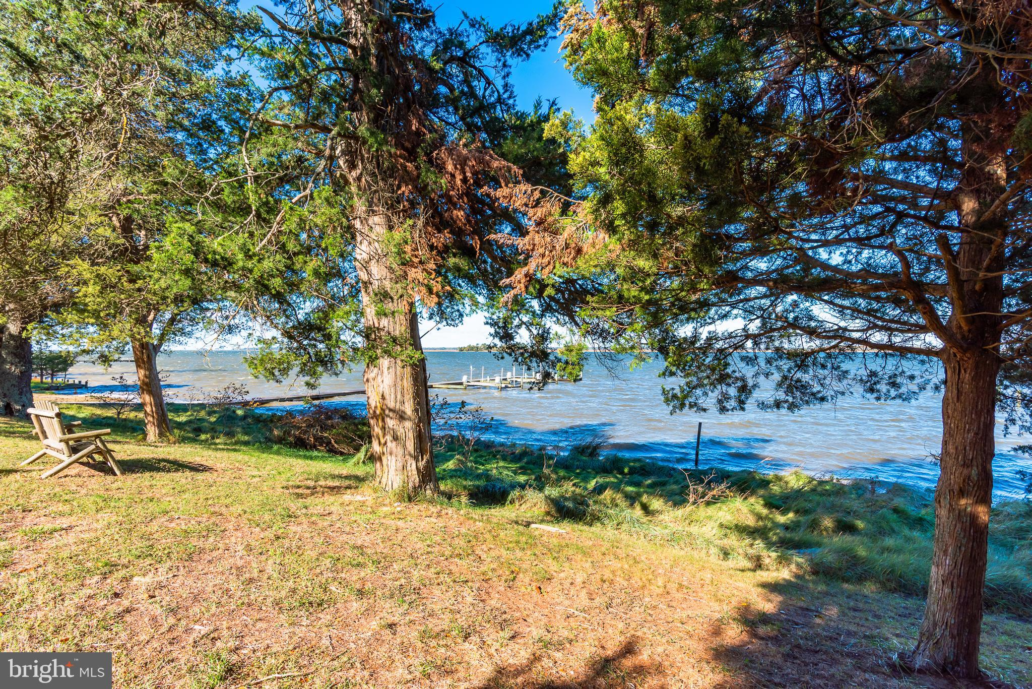 26388 Mt Vernon Road Princess Anne, MD 21853 - Photo 11 of 43 a backyard of a house with lots of green space