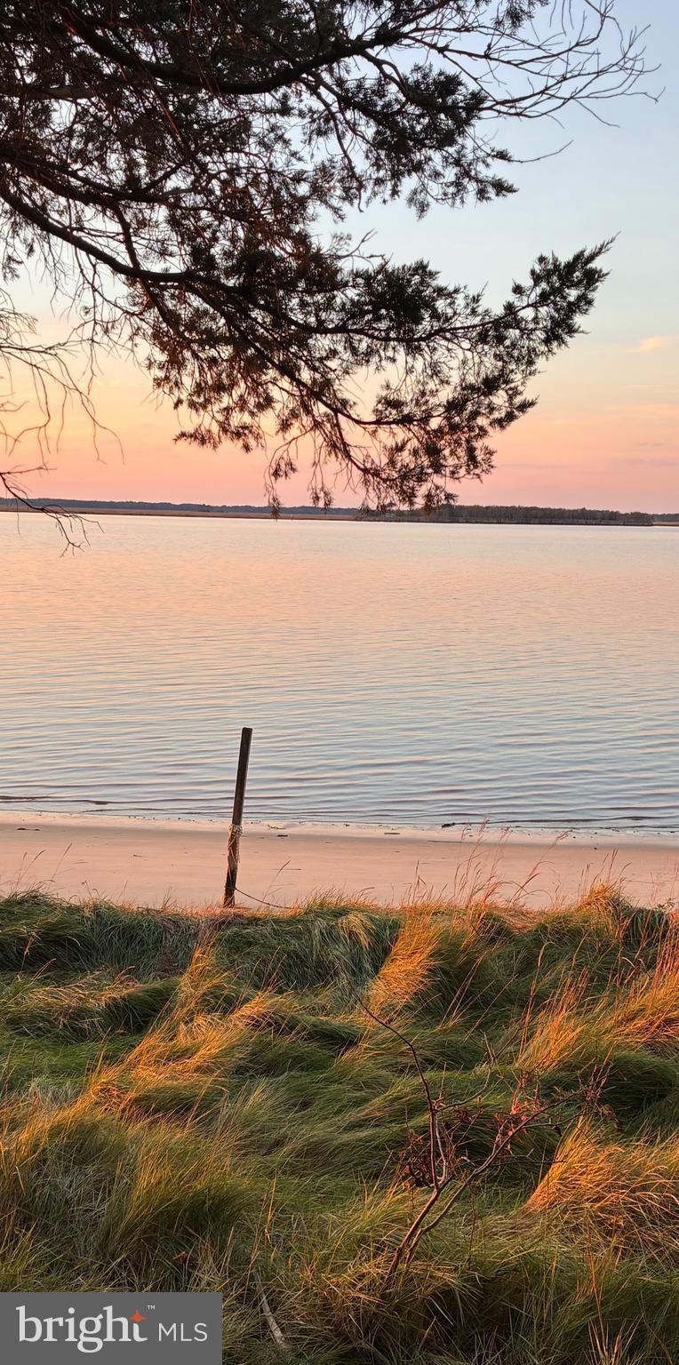 26388 Mt Vernon Road Princess Anne, MD 21853 - Photo 7 of 43 Sandy Beach