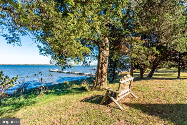 a room that has a mirror and a plant in it