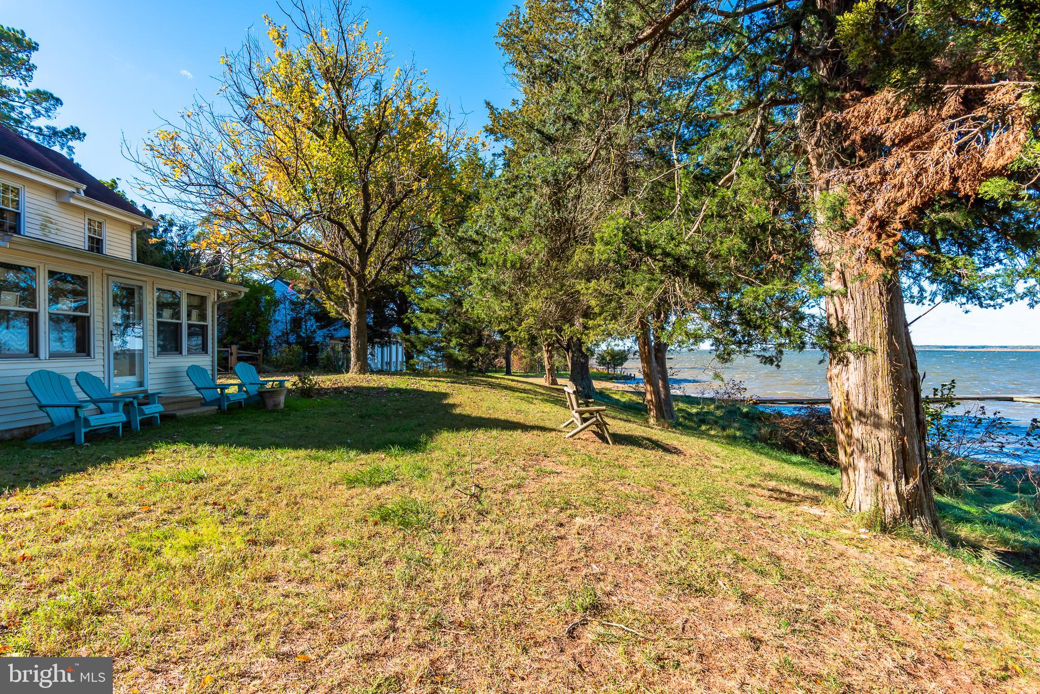 26388 Mt Vernon Road Princess Anne, MD 21853 - Photo 10 of 43 Rear yard