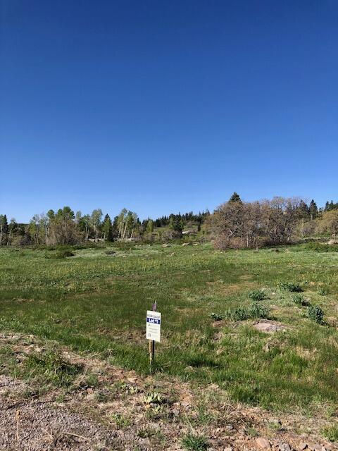 141 North Spring Drive, Unit 1 Springdale, UT 84767 - Photo 1 of 4 Lot 1a