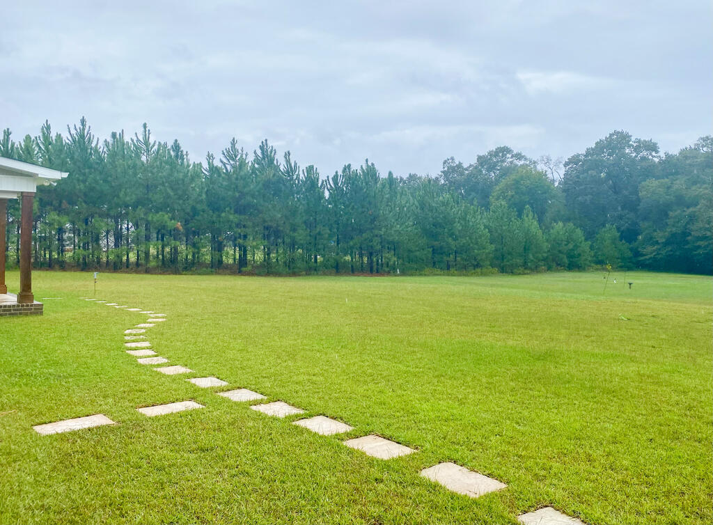 1721 D Hodge Road Cottonwood, AL 36320 - Photo 60 of 67 Gallery Image 60