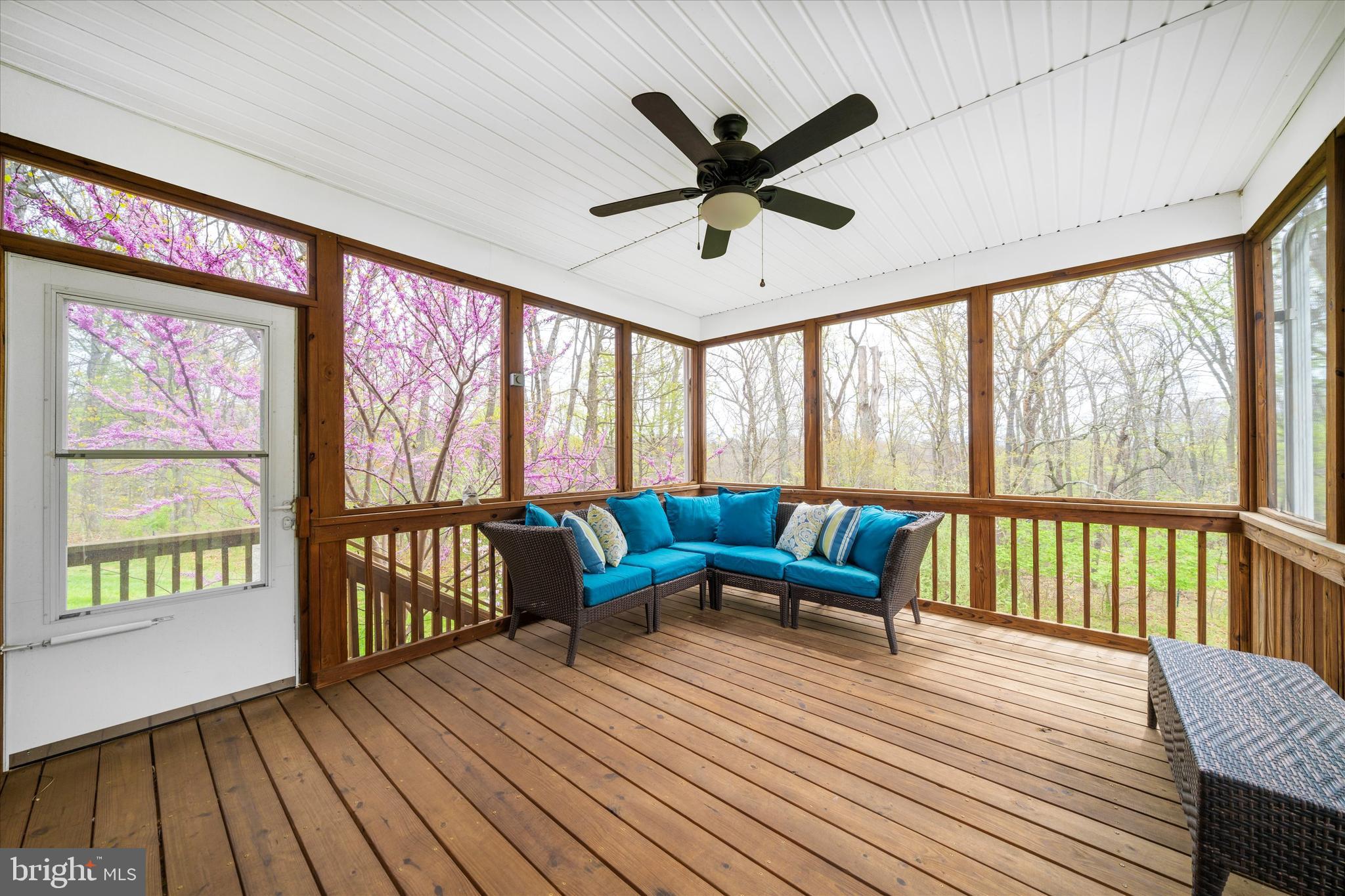 3156 Sumantown Road Middletown, MD 21769 - Photo 18 of 62 Backing up to forest conservation area...